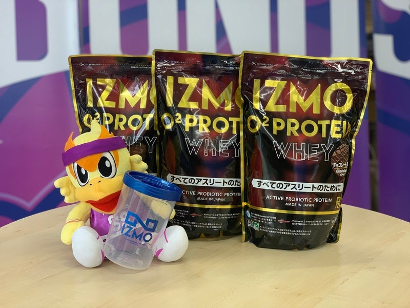 IONPS-A-R1インスタント・フェイルセーフ／負荷分散モード対応 ION19